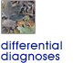 Differential diagnoses